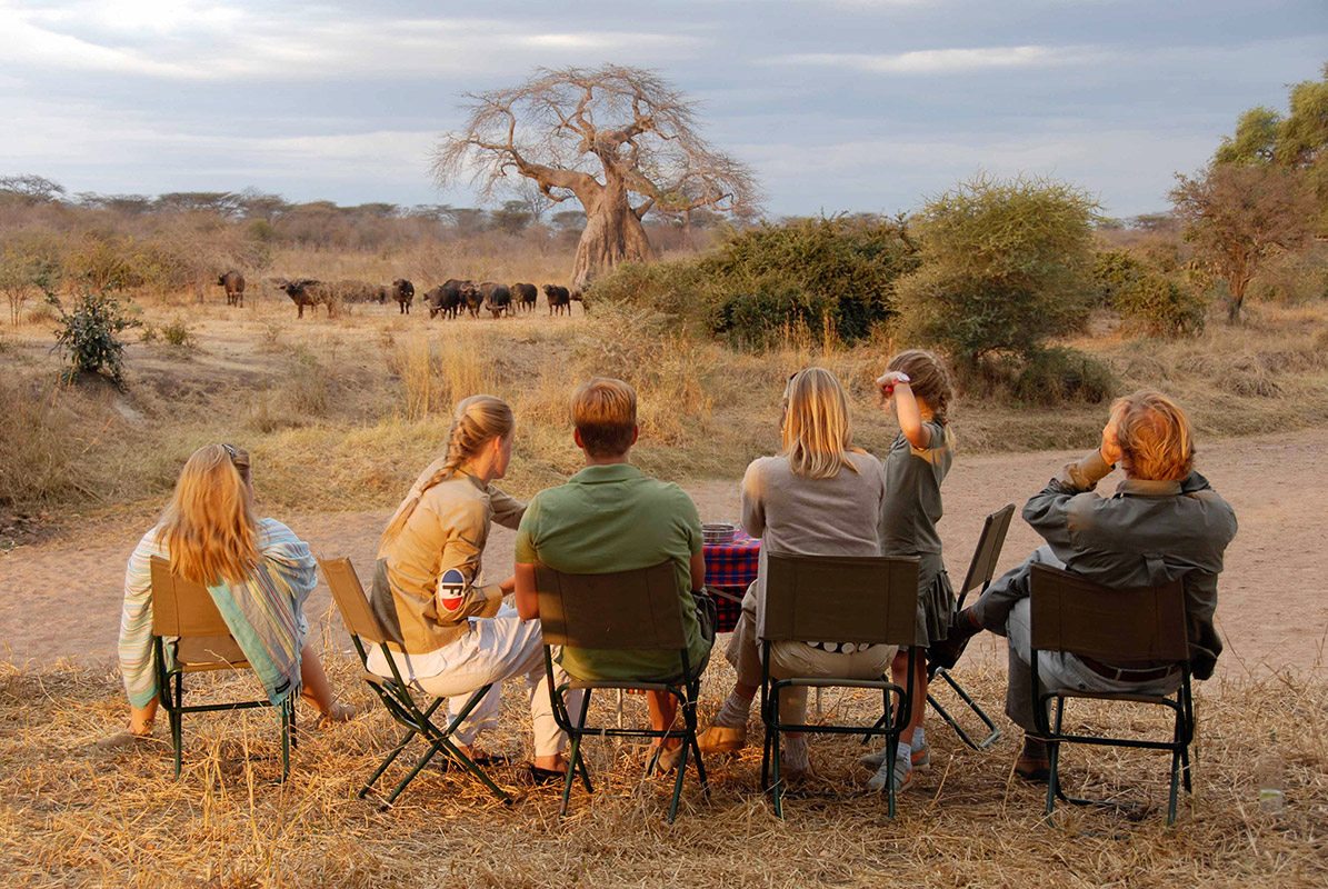 Family on safari vehicle looking at giraffes