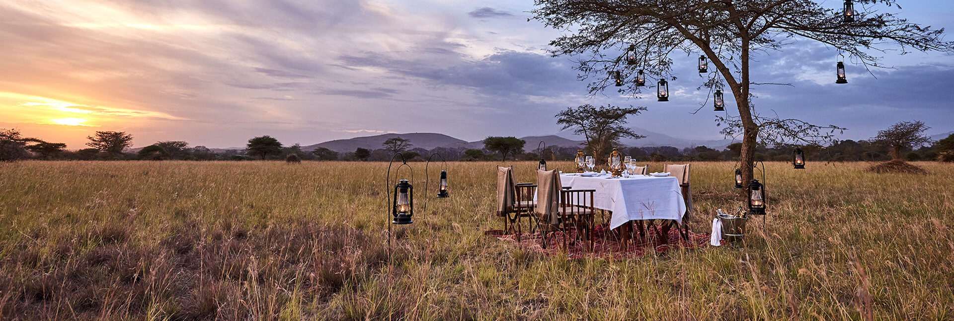 Private dinner setup in the bush